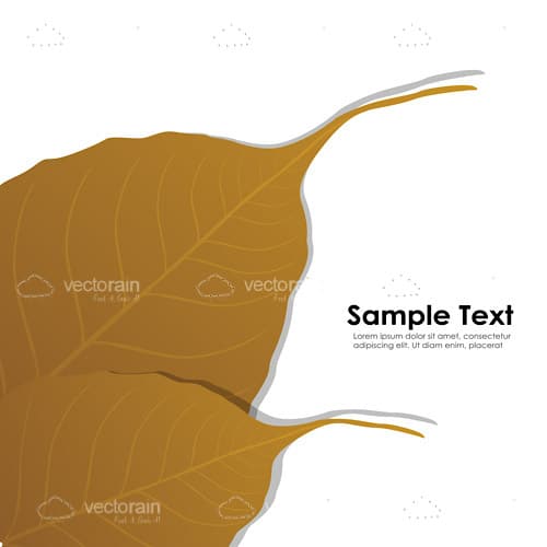 Maple Leaves with Sample Text